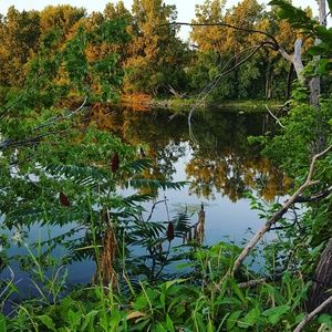 Meet your Posher, Justin